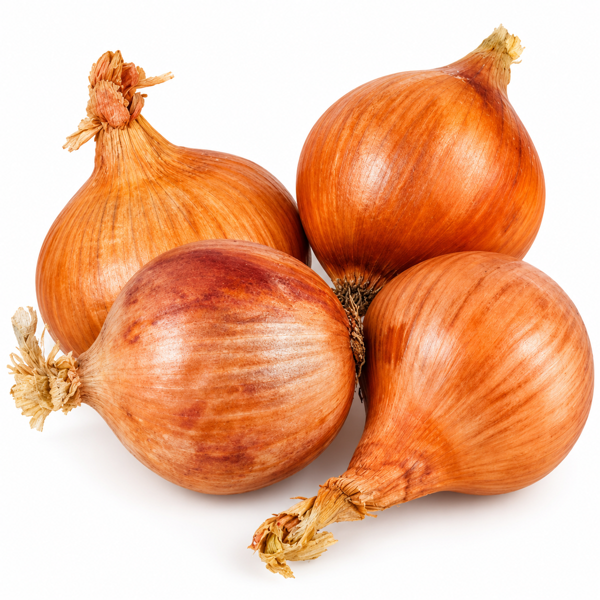 ORGANIC PINK ONION 0.5KG+/- (#121240)