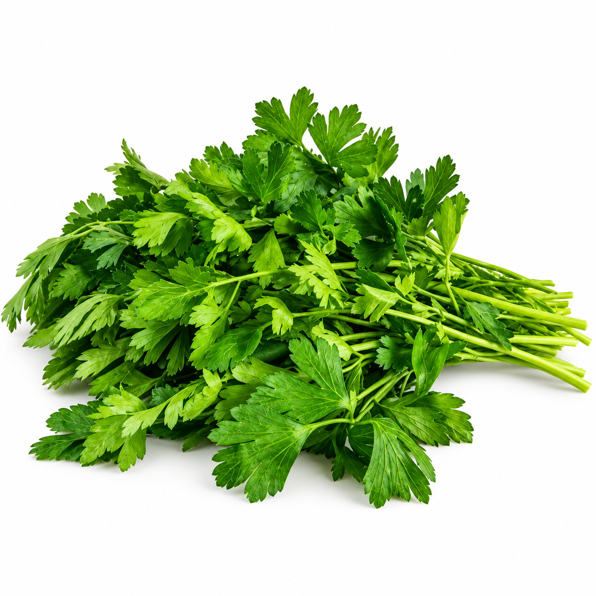 ORGANIC PARSLEY (1PC) (#121269)