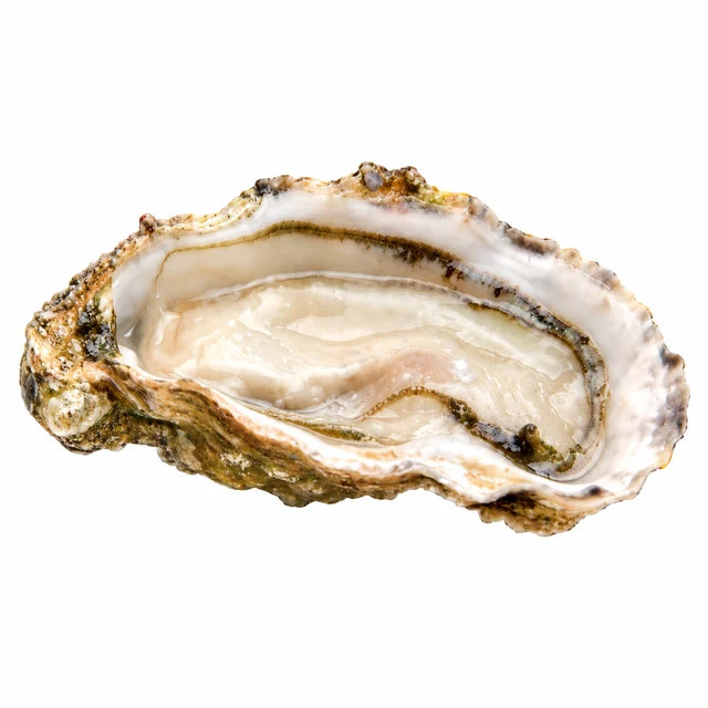 FINES DE CLAIRE OYSTERS NO2 24PC (#122585)