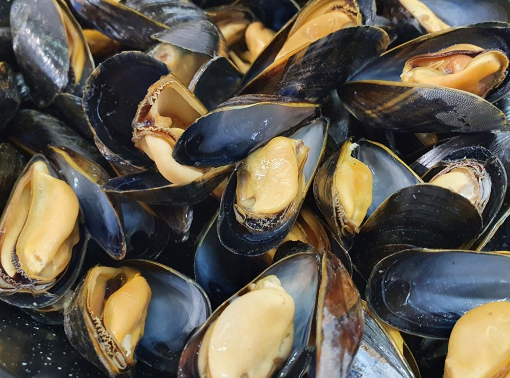 BOUCHOT MUSSELS ST BRIEUC BAY 5KG+/- (#122723)