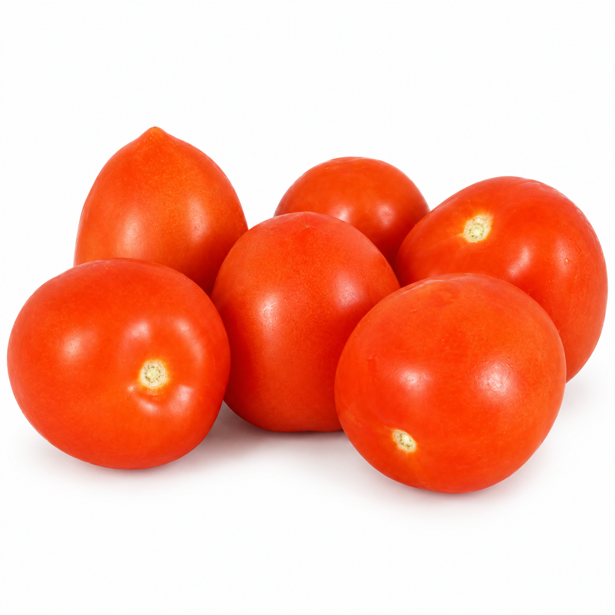 ROMA TOMATO 650G (#123082)