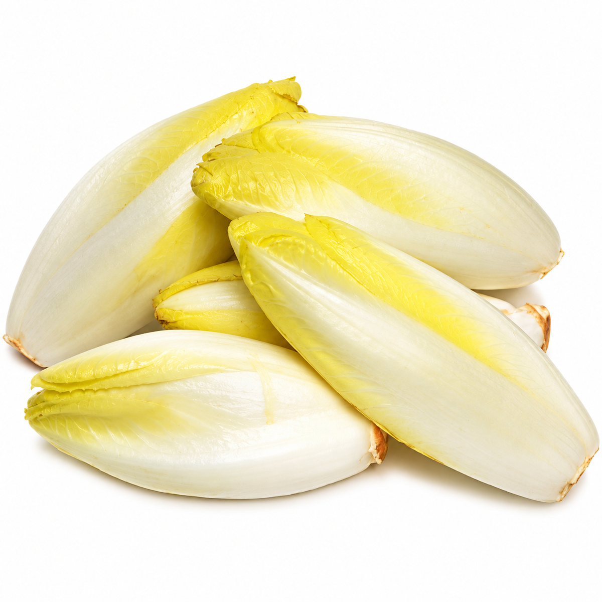 ORGANIC ENDIVE 0.5KG+/- (#123173)