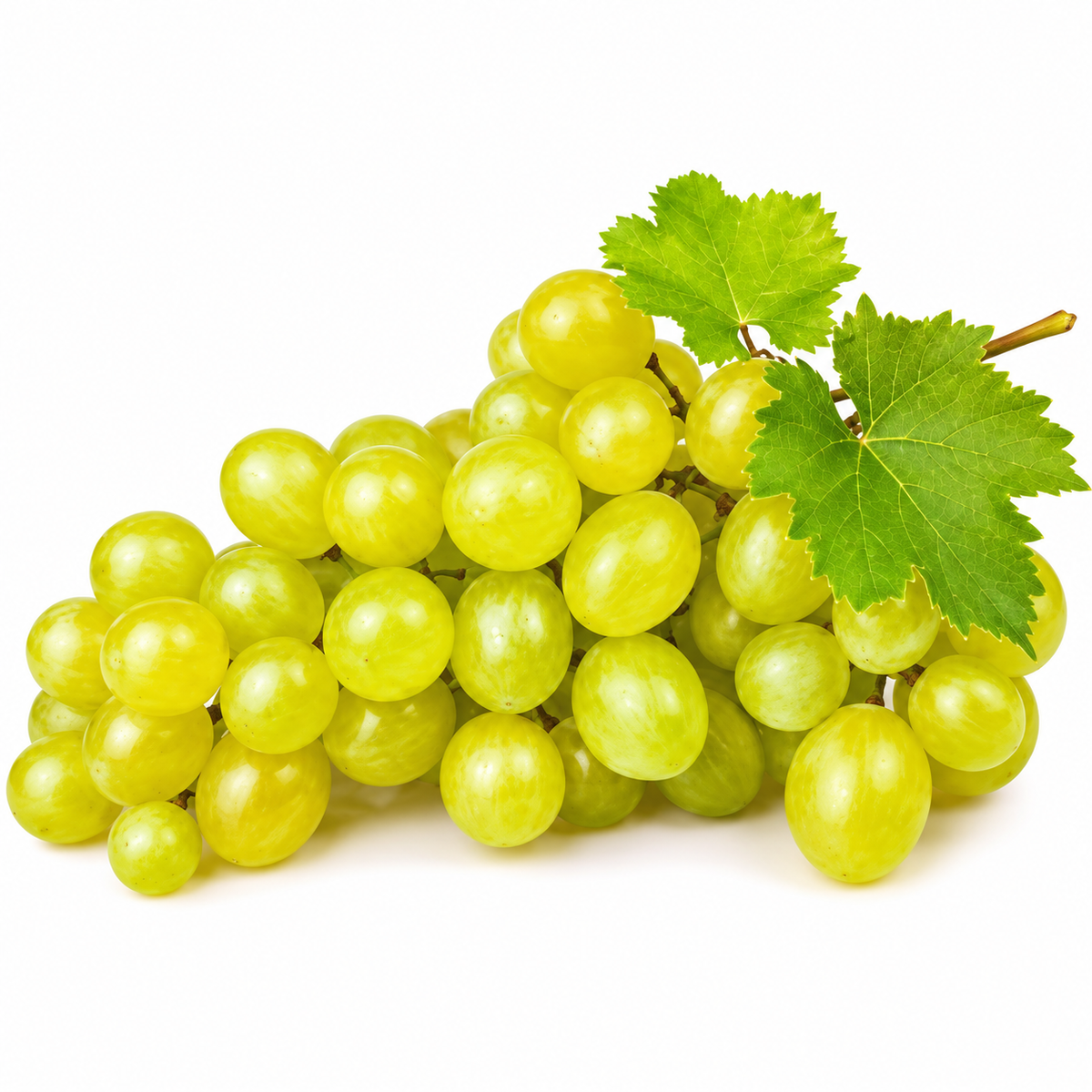 ORGANIC WHITE GRAPE ITALIA 0.5KG+/- (#123715)