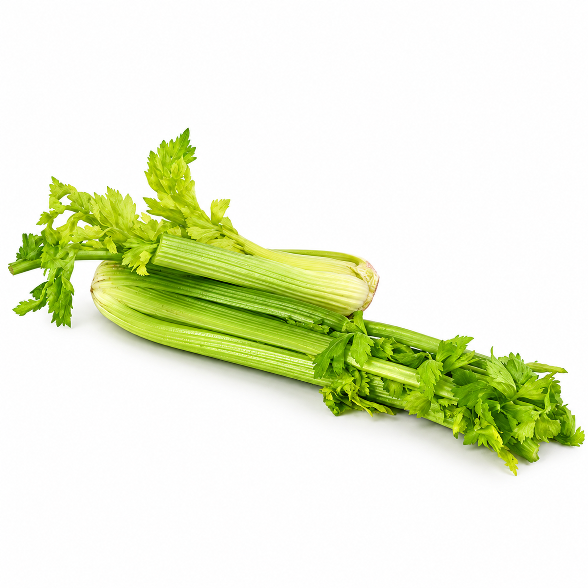 ORGANIC CELERY 400G (#125870)