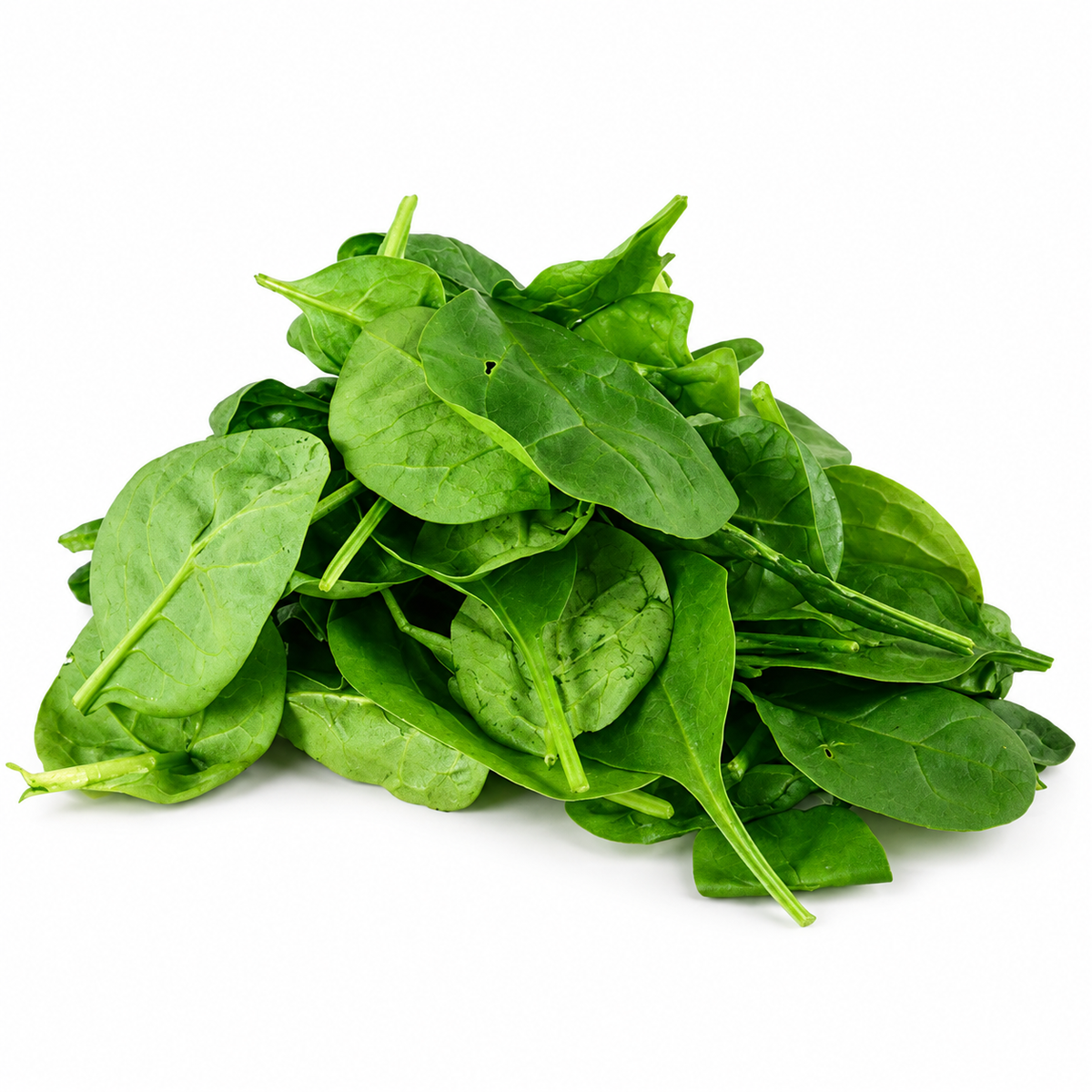 ORGANIC BABY SPINACH 125G (#125957)