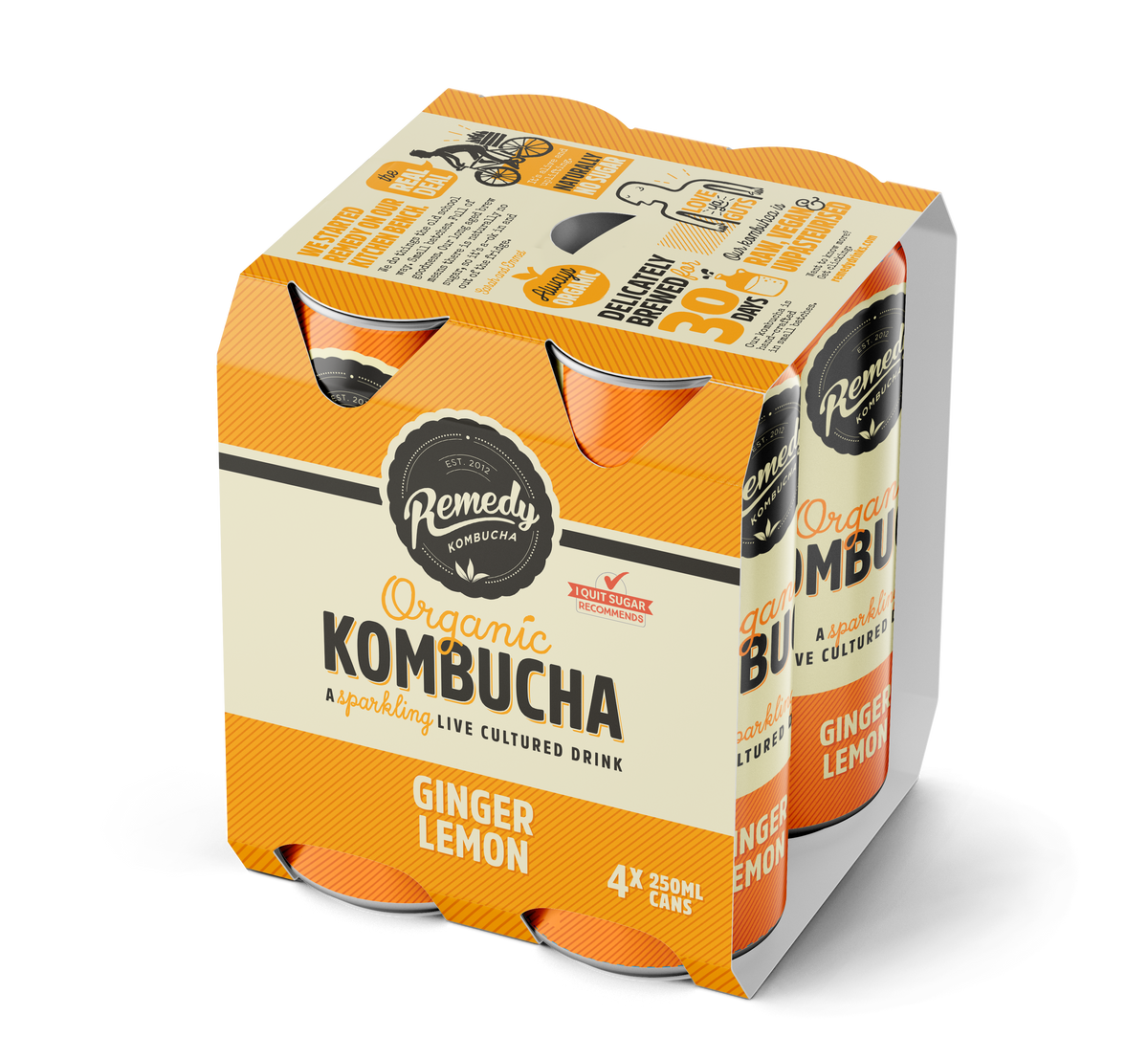 GINGER LEMON KOMBUCHA 250ML (#129025)