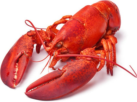 Homard De Boston Cuit