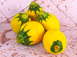 Courgette Ronde Jaune