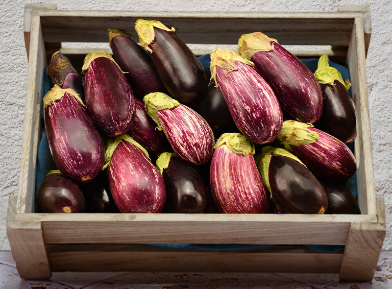 Mini Aubergines Jouno