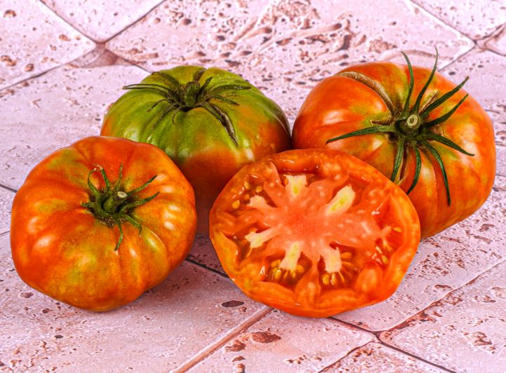 Tomate Marmande