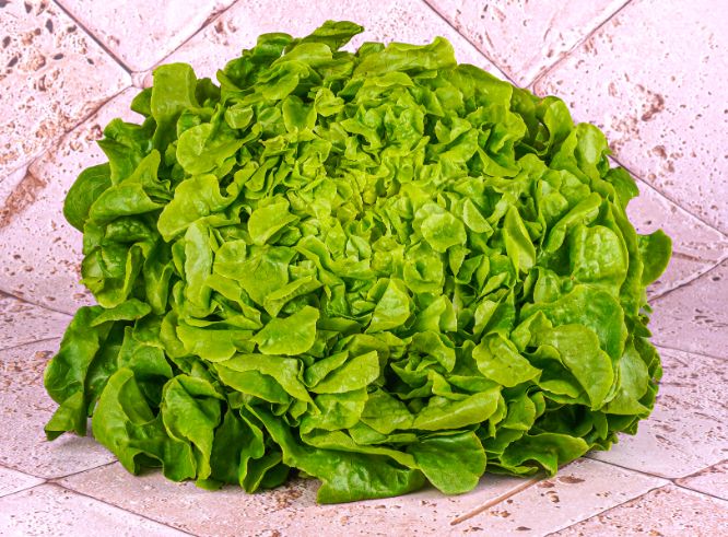 Feuille De Chene Blonde Bio Sachet Vrac