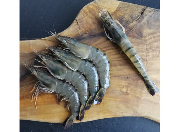 Crevettes tigrees entieres