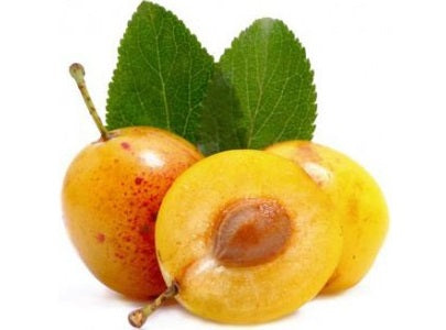 Prune Mirabelle Bio