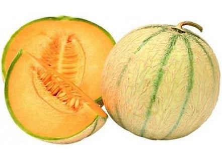 Melon De Cavaillon