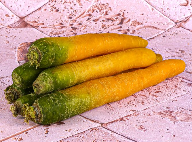 Carotte Jaune, Variete Ancienne