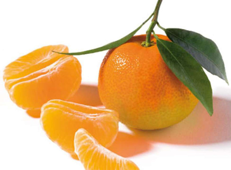 Clementine Corse Igp Bio Sachet Vrac