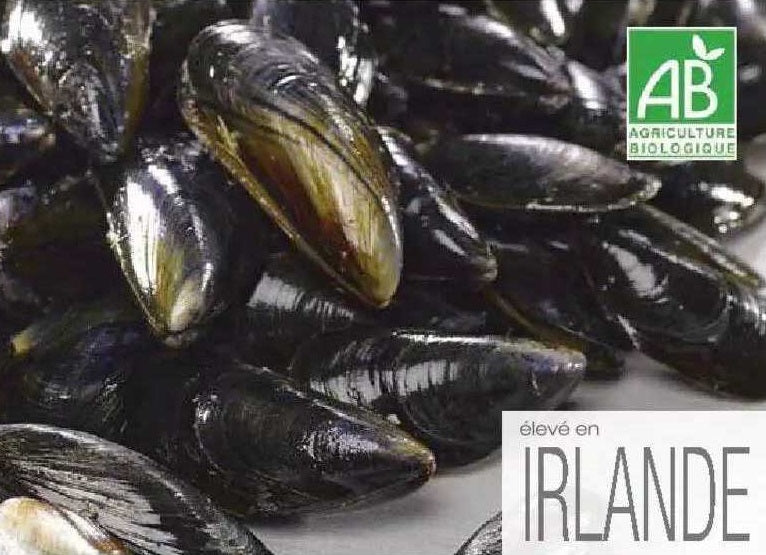 Moules de corde irlandaises BIO AOP