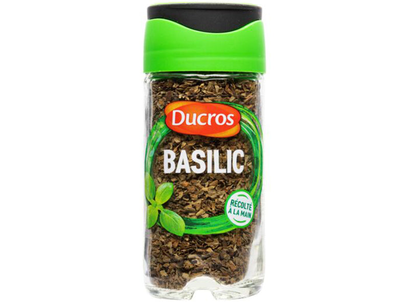 Basilic