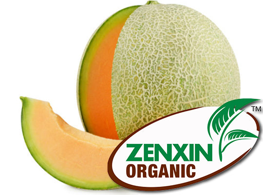 Melon Cantaloup Bio