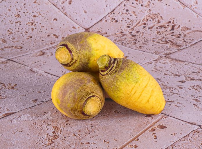 Navets Nouveau Bio Sachet Vrac