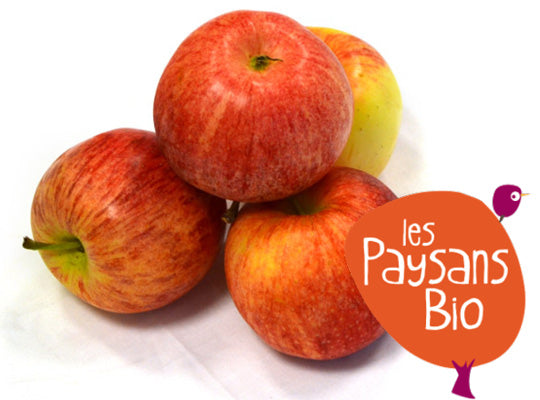 Pomme Bicolore Gala Bio Sachet Vrac