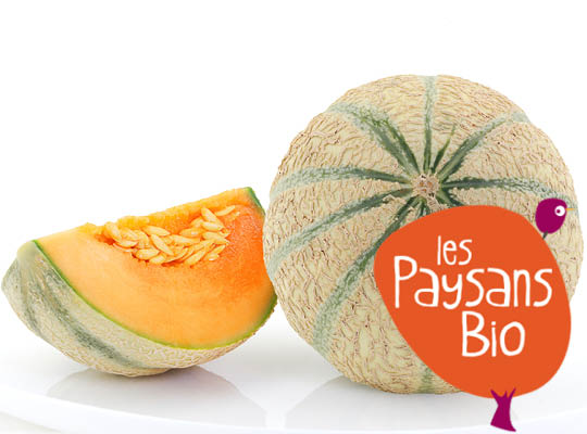 Melon Ecrit Jaune Charentais Bio Piece Vrac