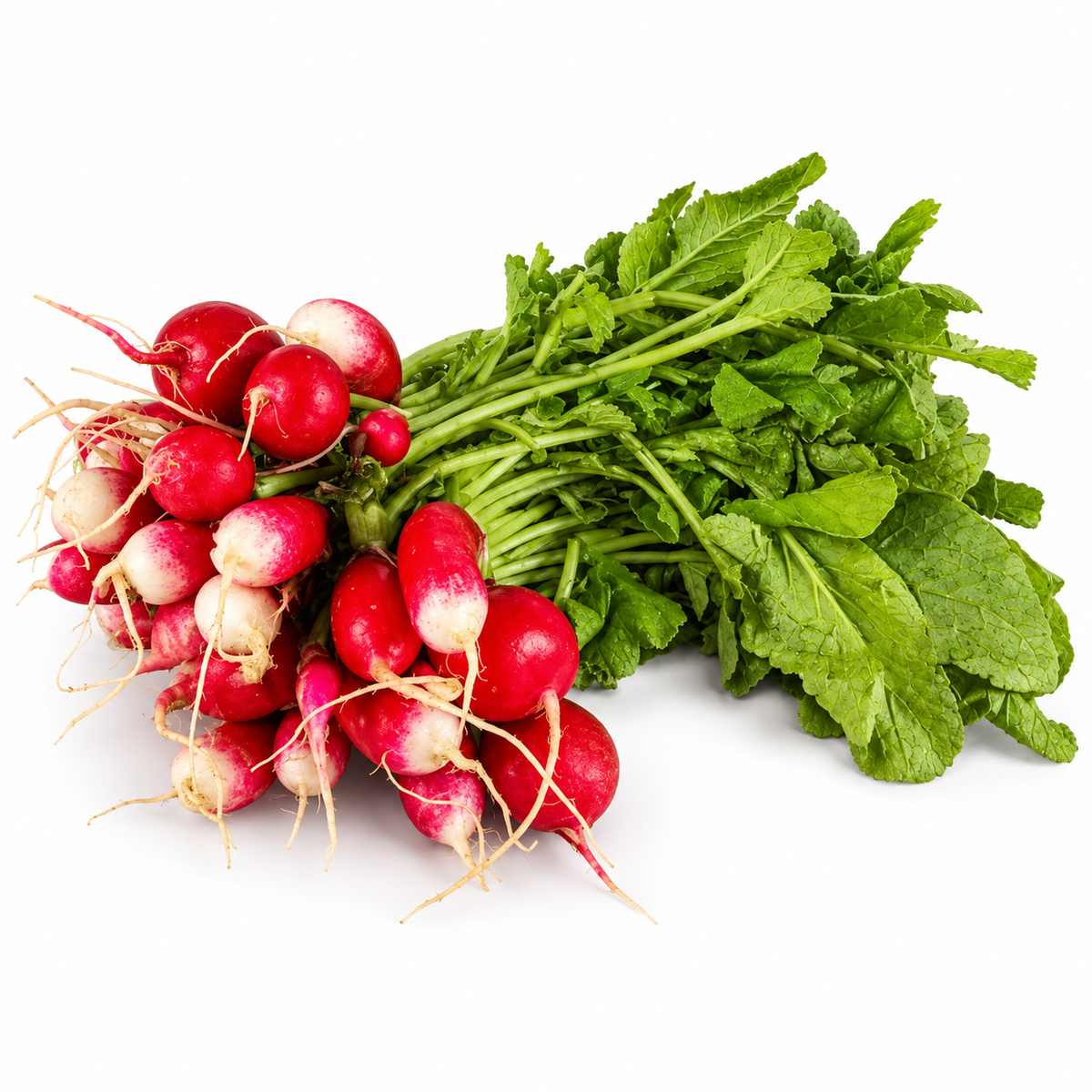 ORGANIC PINK RADISH (1PC) (#121172)