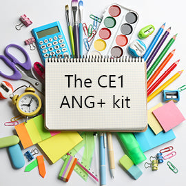 The IFS CE1 Ang+ kit