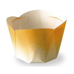 gradation cup/ 10pc (#105636)