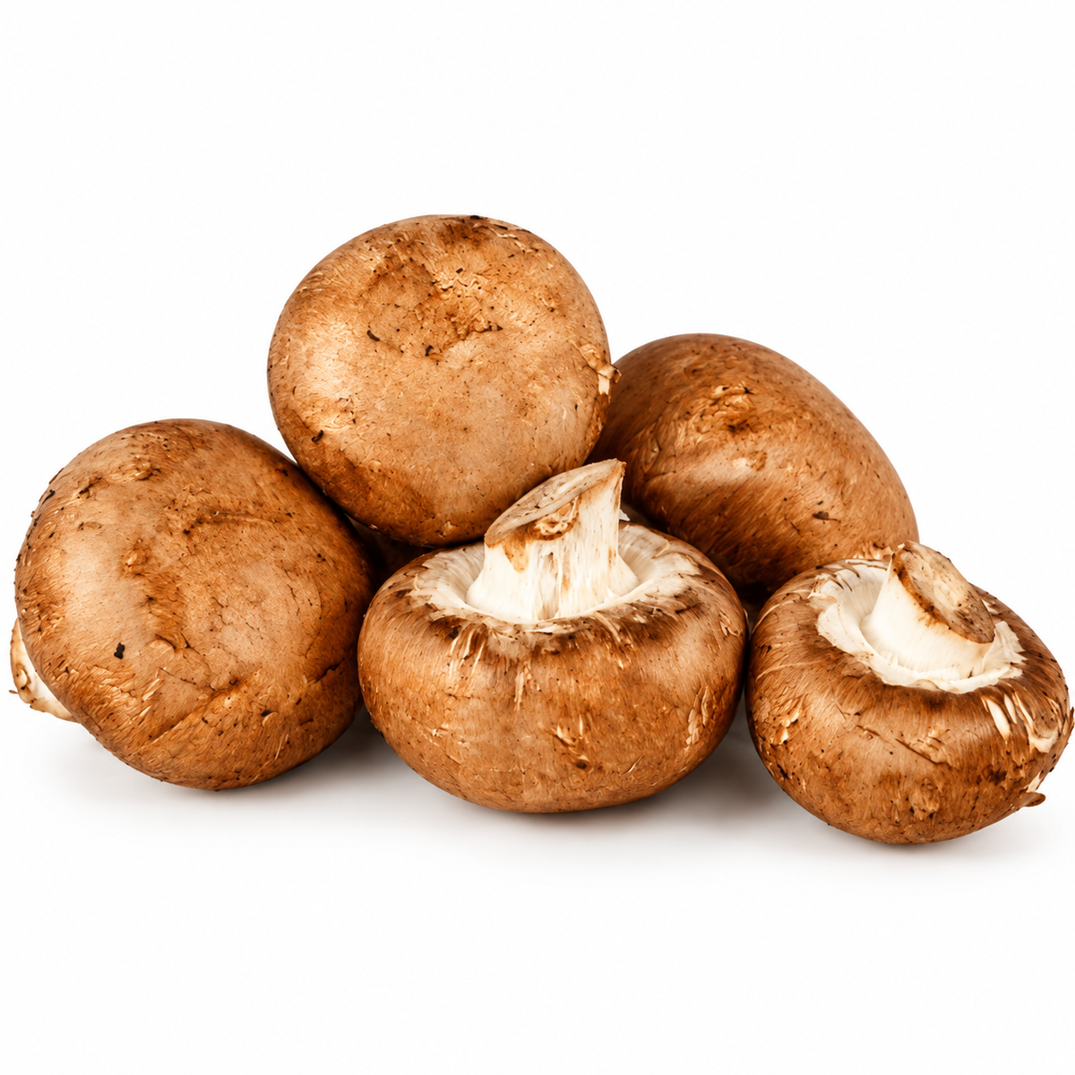 BROWN SWISS MUSHROOM 250G (#121090)
