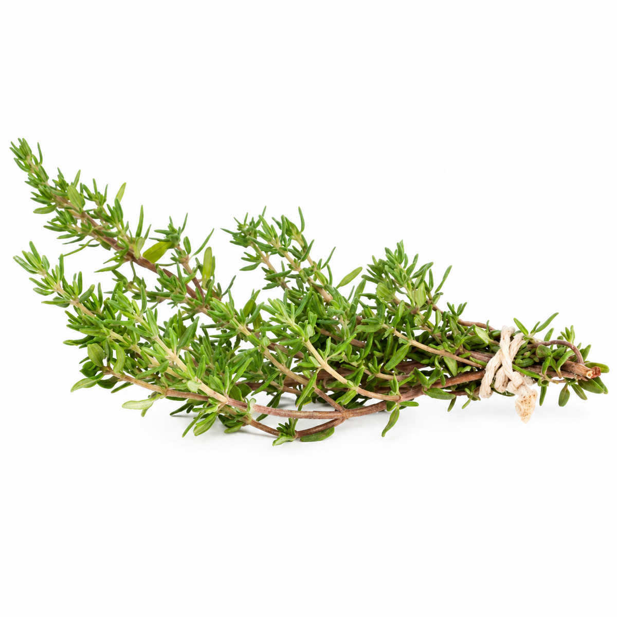 THYME 25G (#121129)