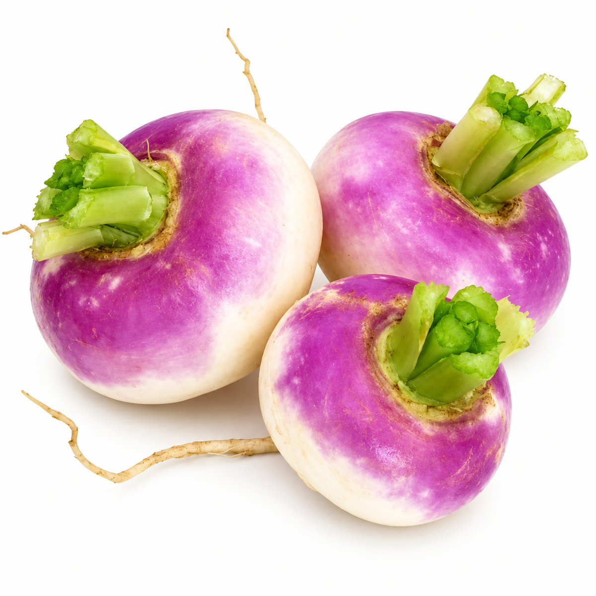 ORGANIC PURPLE TURNIP 0.5KG+/- (#121234)