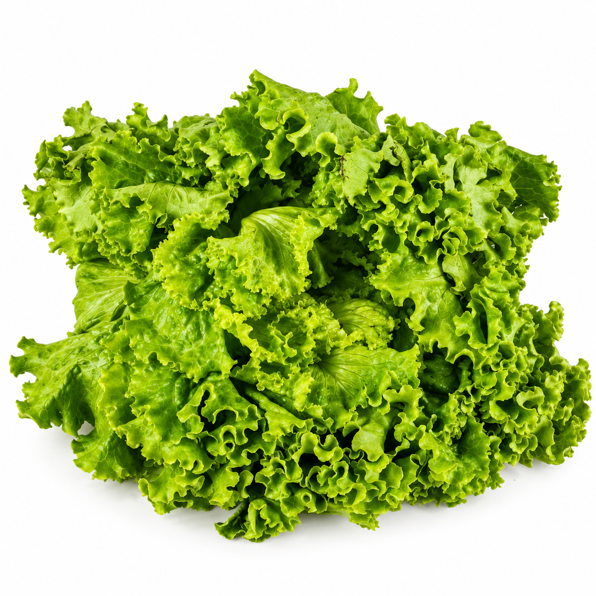 ORGANIC GREEN BATAVIAN LETTUCE (1PC) (#121257)