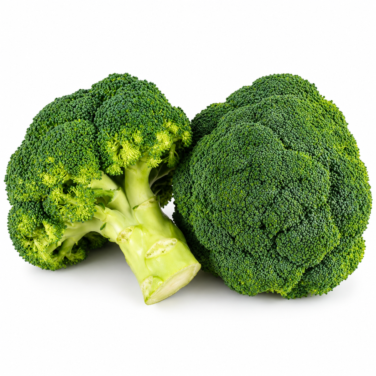 ORGANIC BROCCOLI 0.5KG+/- (#121272)
