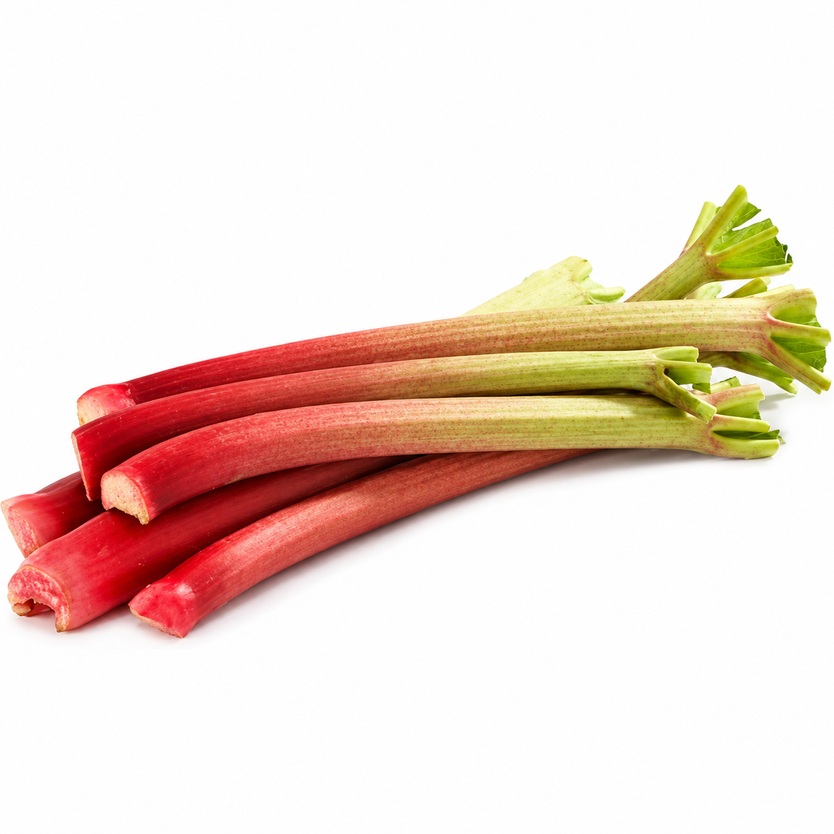 ORGANIC RHUBARB 0.5KG+/- (#121293)