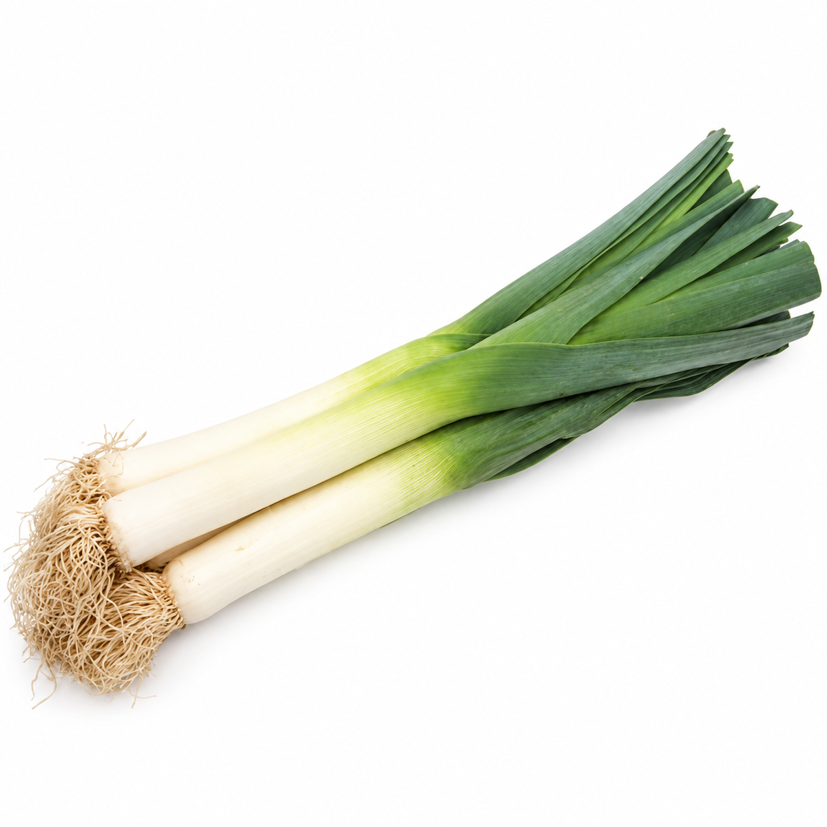 ORGANIC LEEKS 0.5KG+/- (#121355)