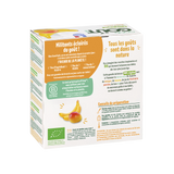 COCONUT MANGO BANANA PASSION YOGURT 4X85G (#121418)
