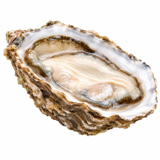 SPECIAL CLAIRE OYSTERS NO3 96PC (GRAND CRU) (#122598)