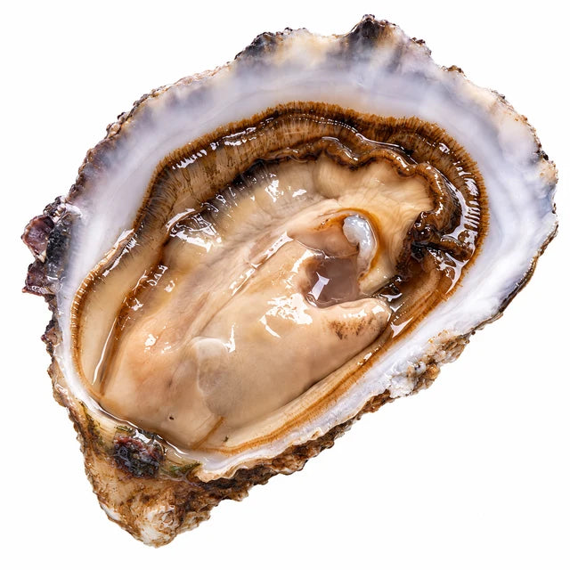 TSARSKAYA OYSTERS NO3X50PC (#122608)