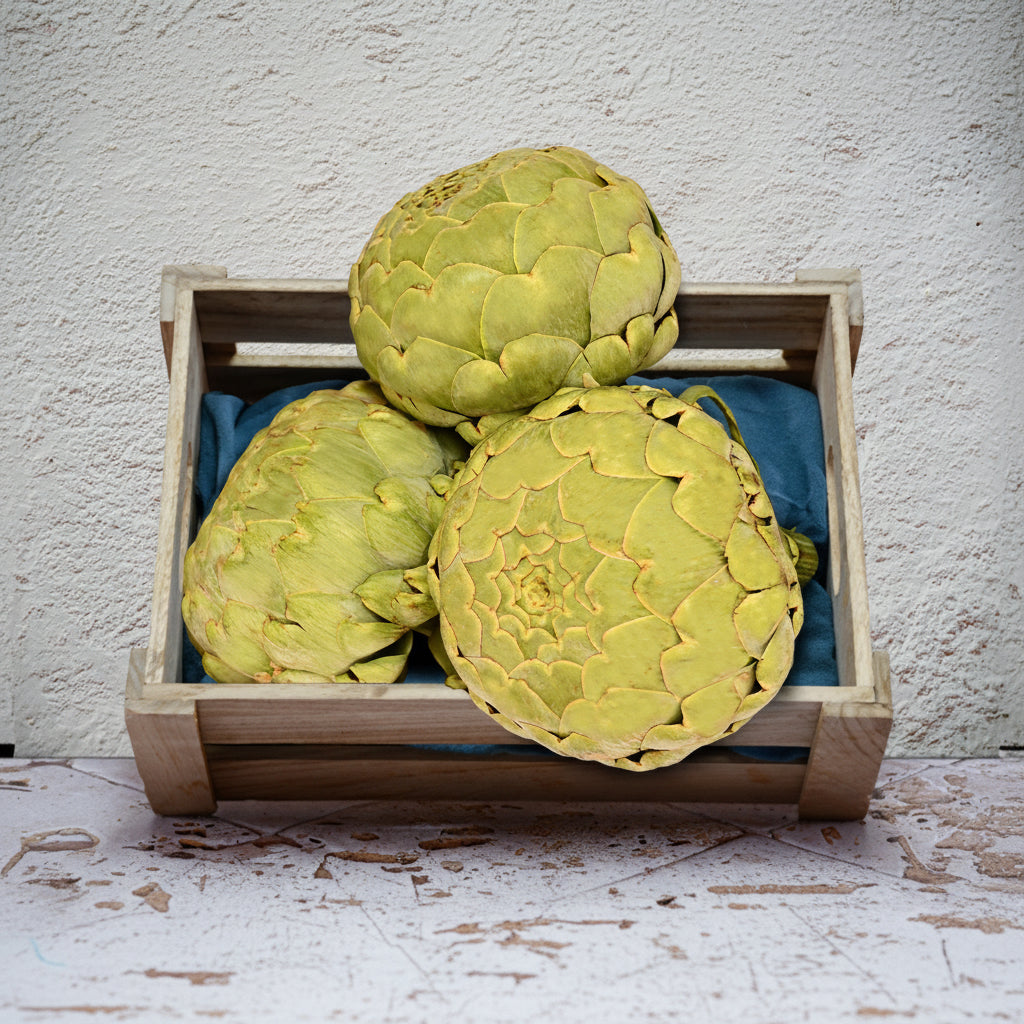 APOLLO ARTICHOKE 0.5KG+/- (#122668)