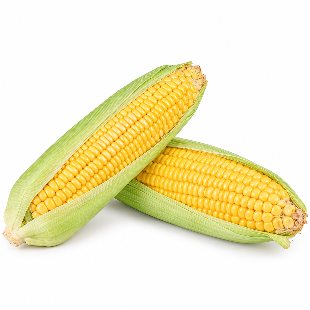 SWEET CORN 2PC (#123033)