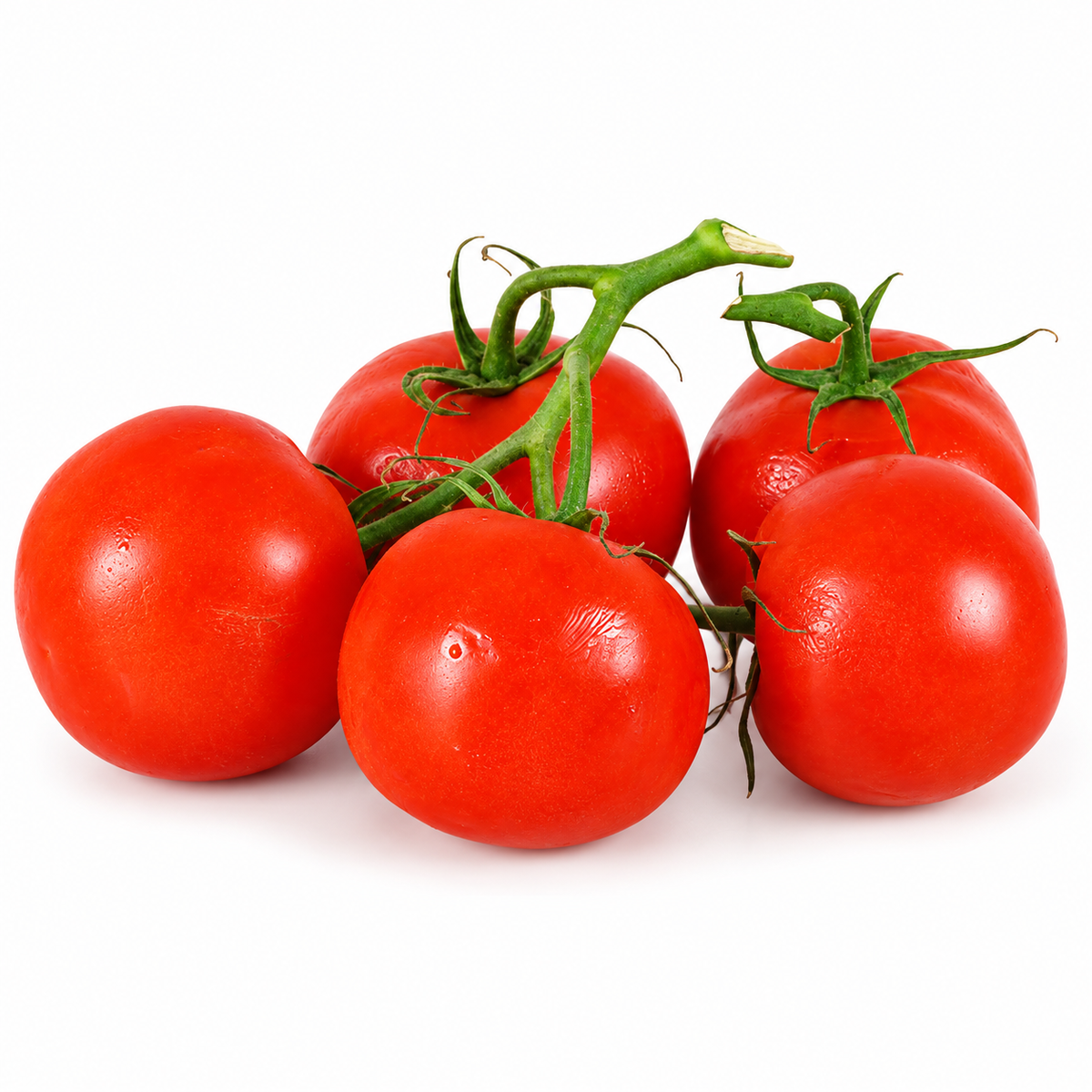 TOMATOES ON VINE 500G (#123092)