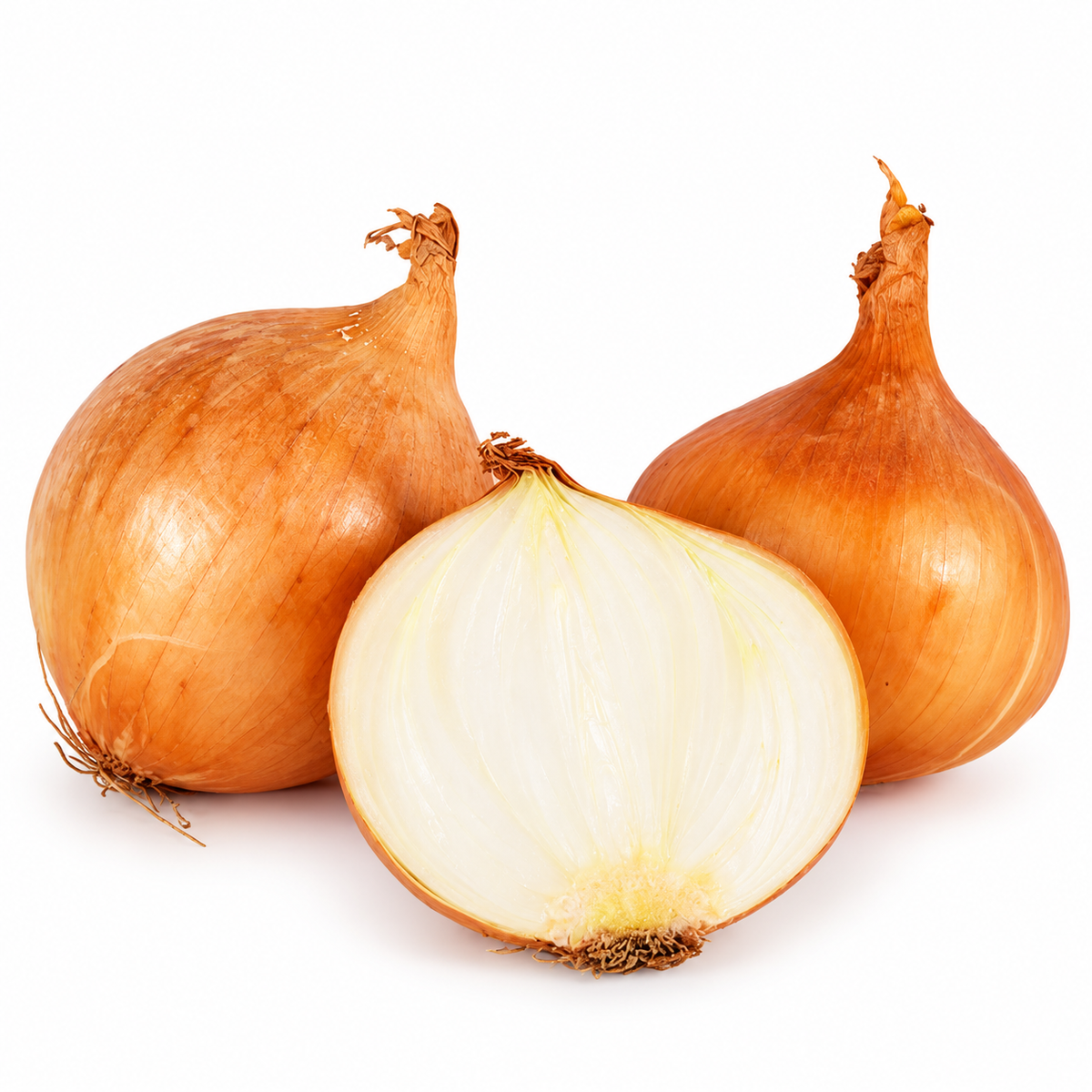 yellow onion 500g (#123095)