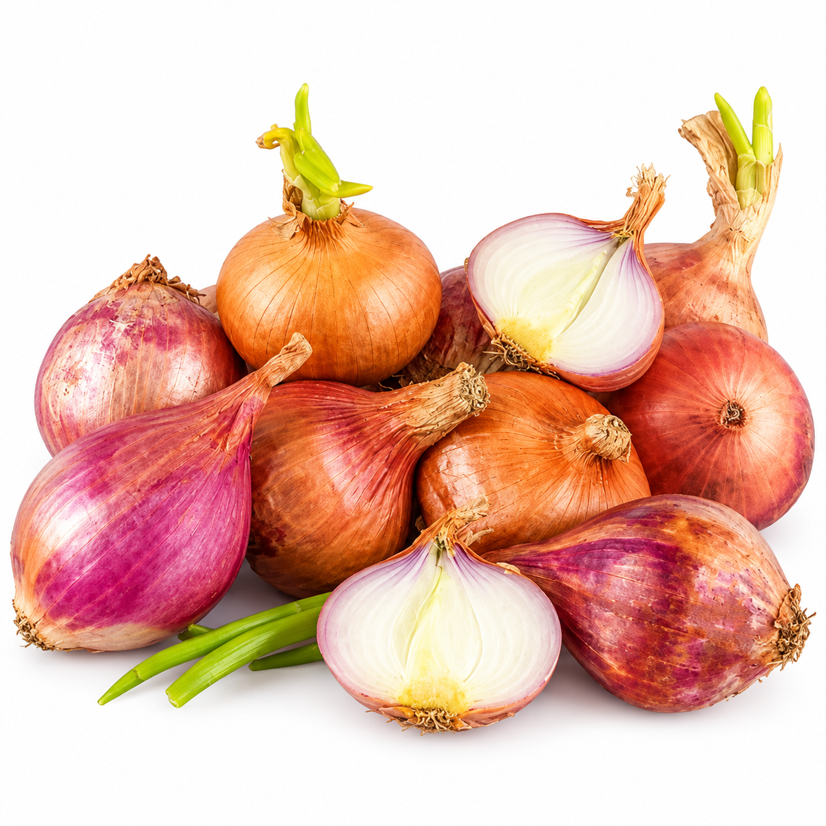 SHALLOTS 500G (#123097)