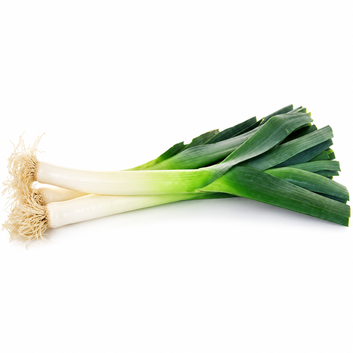 leek 500g (#123098)