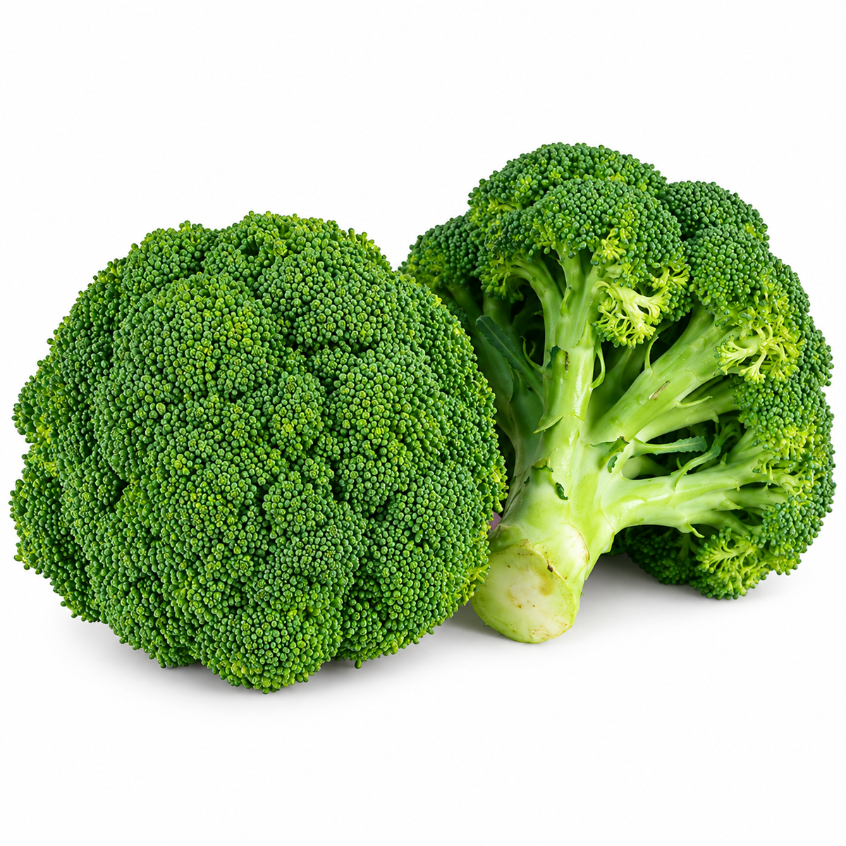 broccoli 300g (#123104)