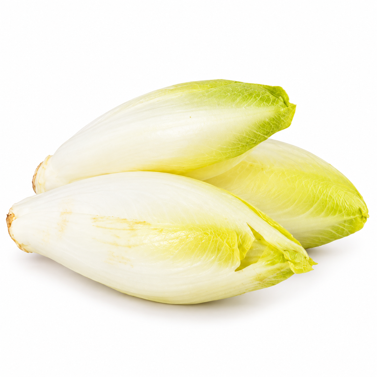 ENDIVES 300G (#123105)