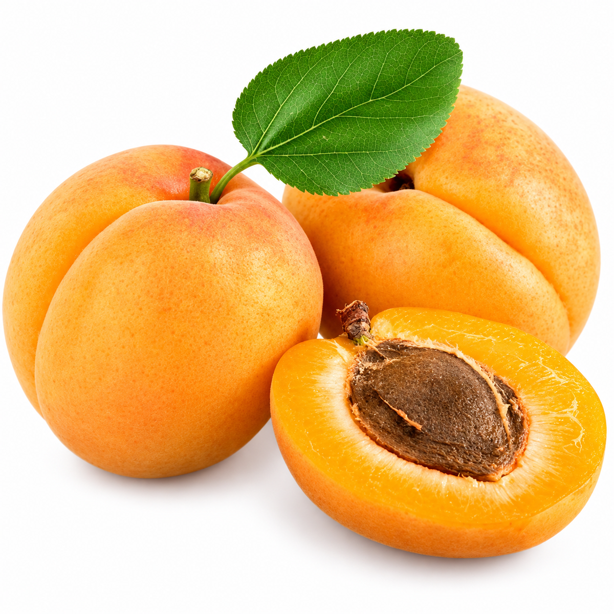ORGANIC APRICOT 0.5KG+/- (#123189)