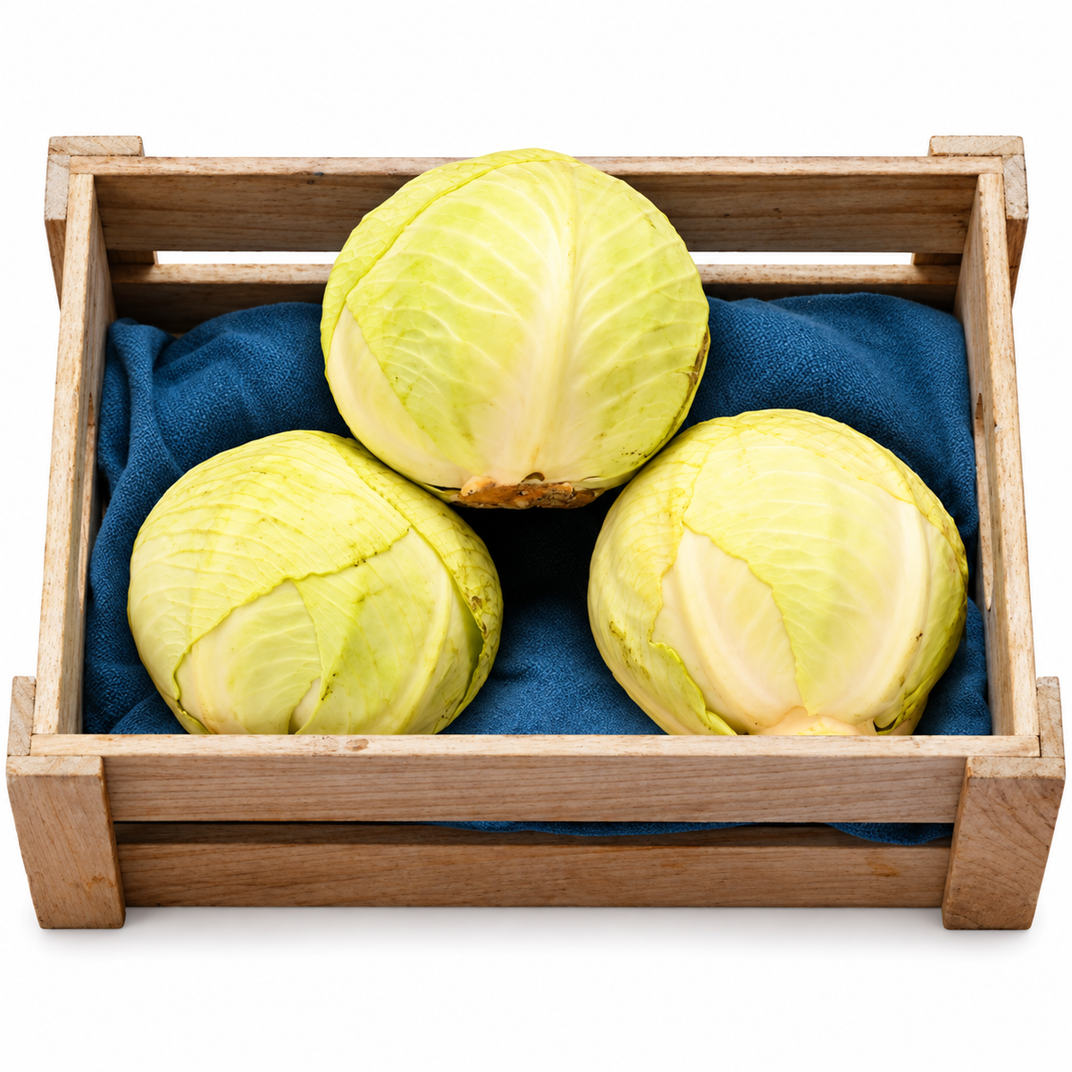 ORGANIC GREEN CABBAGE (1PC) (#123646)