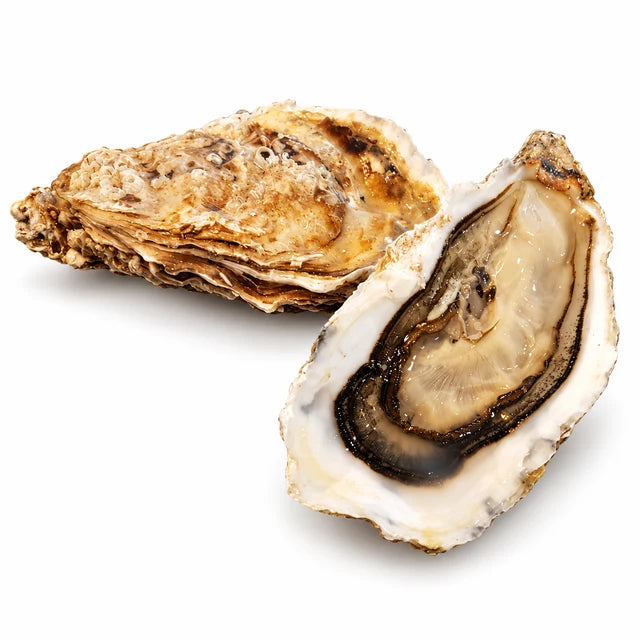 SPECIAL OYSTERS M ISTRENN (MEDIUM SIZE) 24PC (#128000)